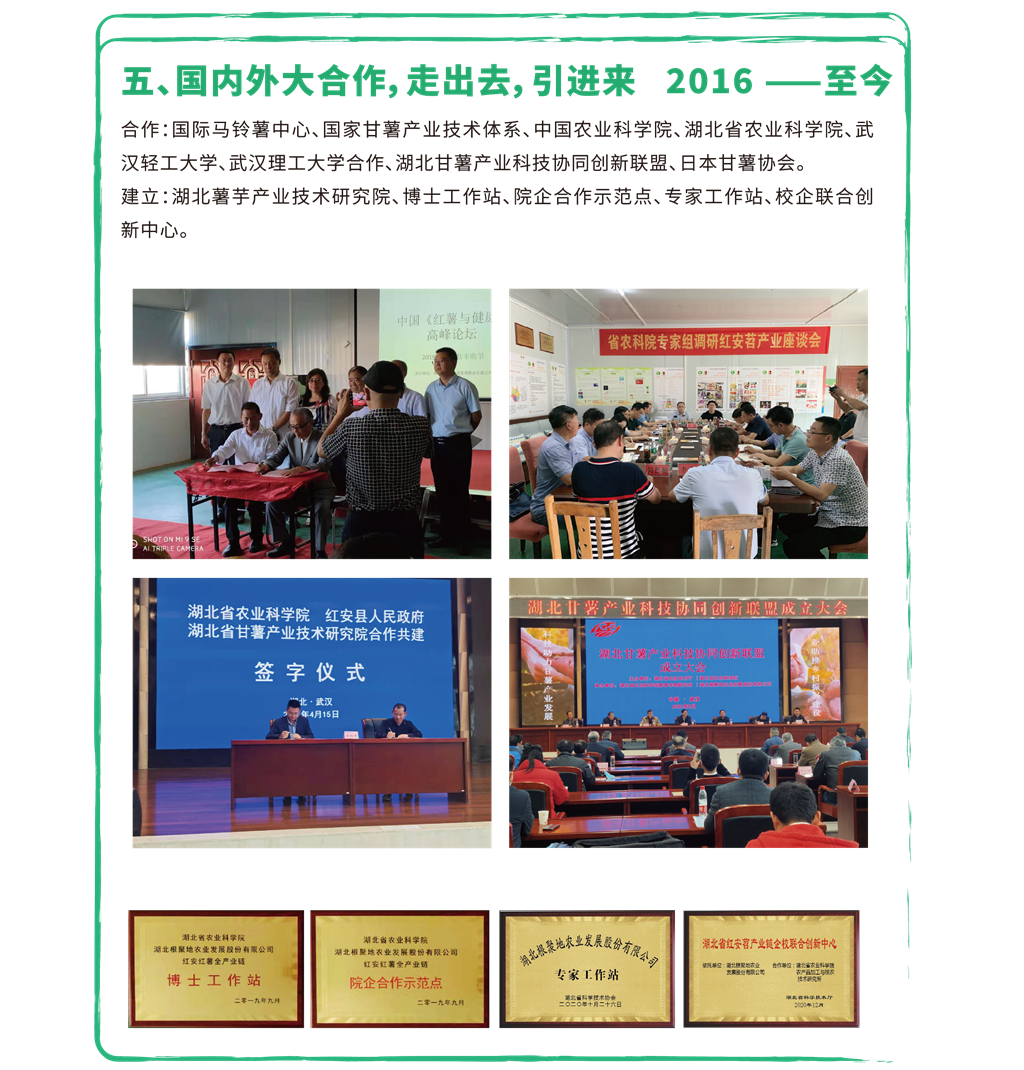 發(fā)展歷程5.png