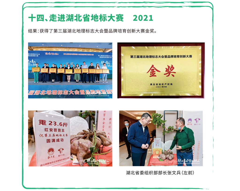 發(fā)展歷程14.png